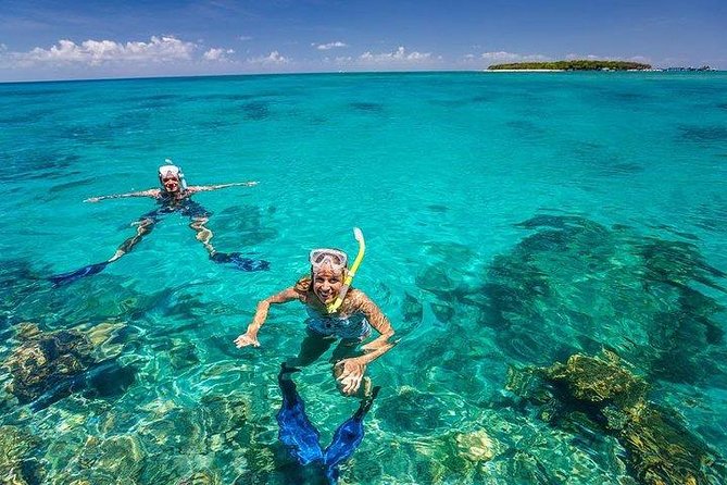 Private Dolphin Tour and Snorkeling at Mnemba Island reef - A calm swim at the Mnemba sandbank
