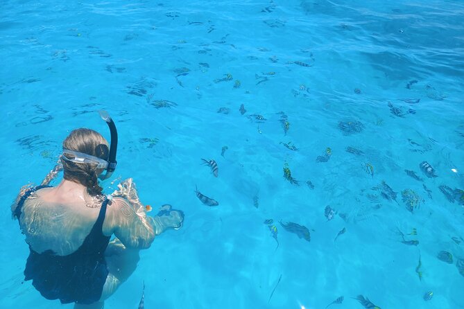 Private Dolphin Tour and Snorkeling at Mnemba Island reef - Duration, timing, and what three hours means