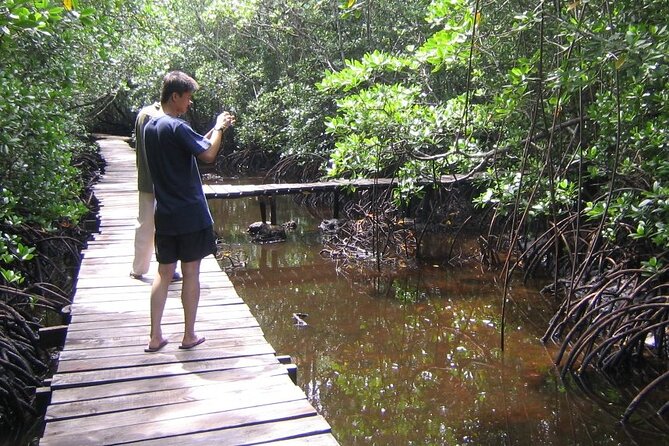 Private Full-Day: Dolphin & Monkey Jungle Adventure - Private transport and how the day feels on the road