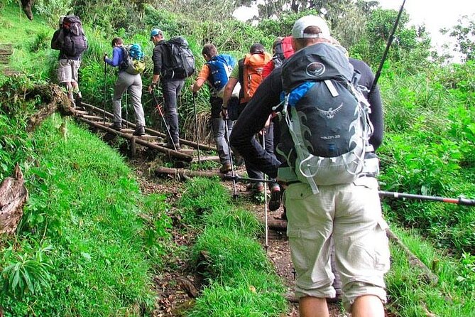 Private Full Day Hiking Experience to Marangu Route - Reaching Mandara Hut after about five hours