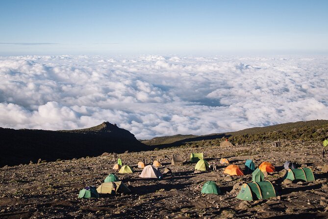 Private Full Day Hiking Experience to Marangu Route - The descent back to the main gate