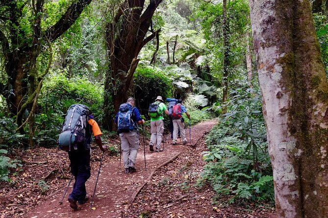 Private Full Day Hiking Experience to Marangu Route - Lunch, water, and the small comforts that matter