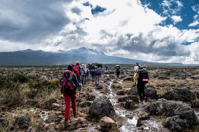 Private Full Day Hiking Experience to Marangu Route - Is $260 per person a fair price?