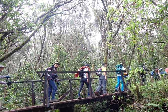 Private Full-Day Hiking Tour in Mount Kilimanjaro - A taste of Kilimanjaro without a summit attempt