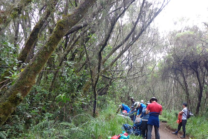 Private Full-Day Hiking Tour in Mount Kilimanjaro - Practical details that affect your day