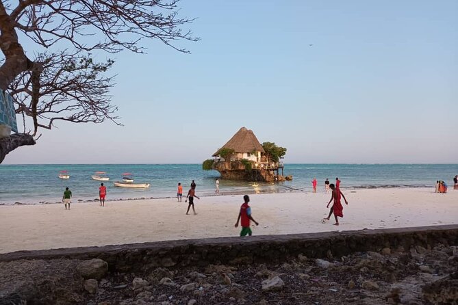 Private Full Day Jozani, Paje Beach and Rock Restaurant Tour - From Stone Town to Jozani Forest