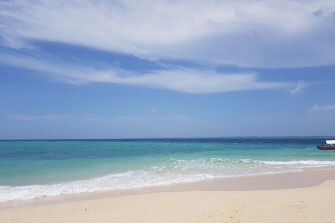 Private Full Day Jozani, Paje Beach and Rock Restaurant Tour - What the $65 price really covers