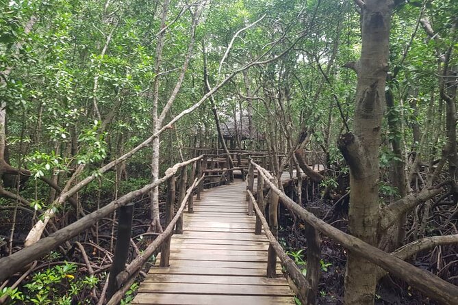 Private Full Day Jozani, Paje Beach and Rock Restaurant Tour - The guide can shape the day