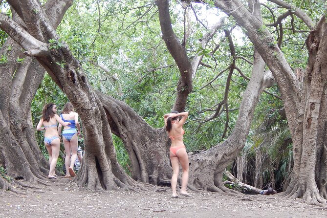 Private Full-Day Materuni Waterfall, Coffee and Hot-spring Tour in Moshi - Swimming at Kikuletwa Hot Springs