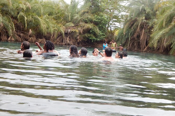 Private Full-Day Materuni Waterfall, Coffee and Hot-spring Tour in Moshi - How the $95 price holds up