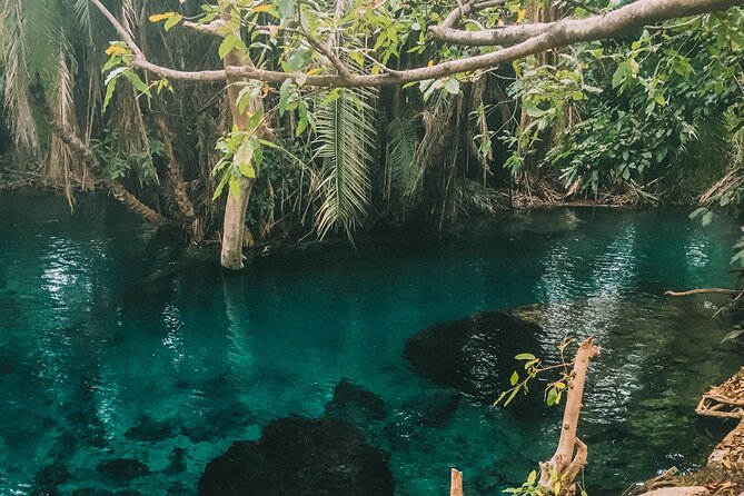 Private Full-Day Materuni Waterfalls and Kikuletwa Hotspring - Why this Arusha day trip works so well