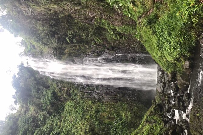 Private Full-Day Materuni Waterfalls and Kikuletwa Hotspring - Is $100 per person good value?