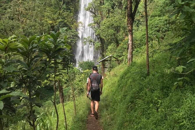 Private Full-Day Materuni Waterfalls and Kikuletwa Hotspring - Turning coffee beans into your own cup
