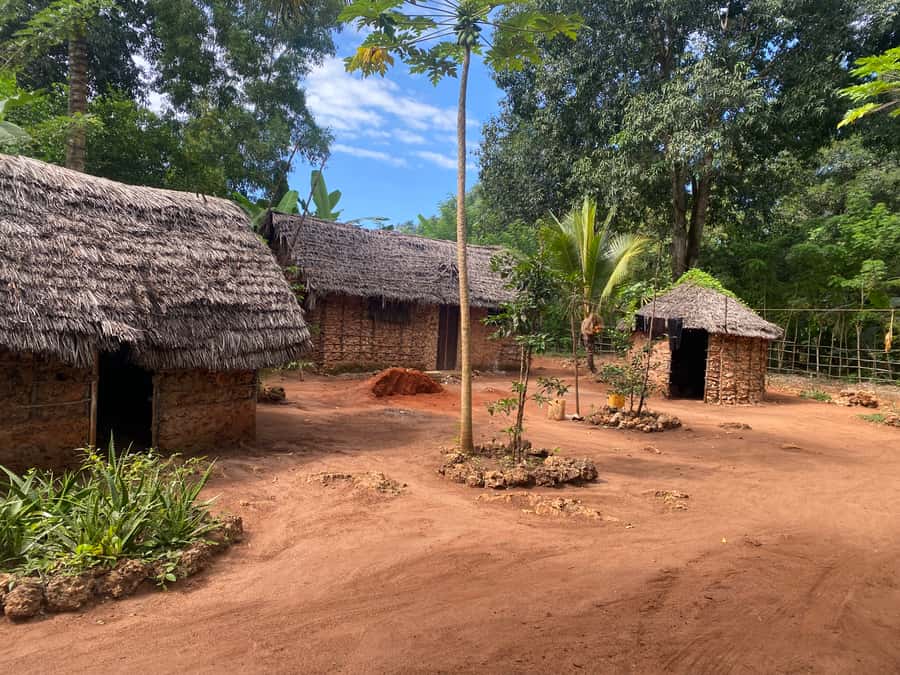 Private Full Day Trip Exploring Zanzibar Nature - Through Jozani Forest for about three hours