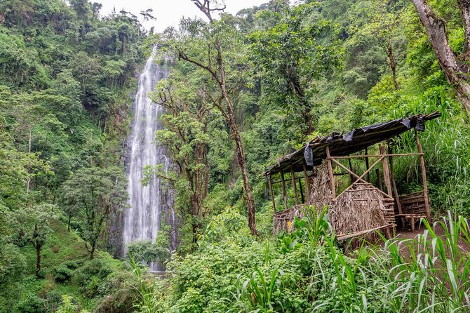 Private Full-Day Trip to Materuni Waterfalls - Reaching the 80-meter cascade