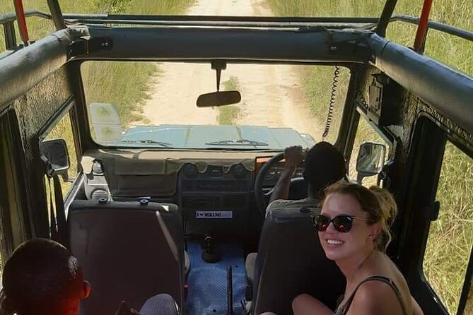 Private Full-Day Trip to Mikumi National Park from Dar es Salaam - Morogoro lunch stop and a useful pause