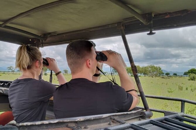 Private Full-Day Trip to Mikumi National Park from Dar es Salaam - Entering Mikumi for four to five hours of game viewing