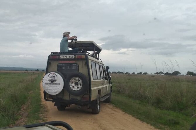 Private Full-Day Trip to Mikumi National Park from Dar es Salaam - Wildlife to watch for inside the park
