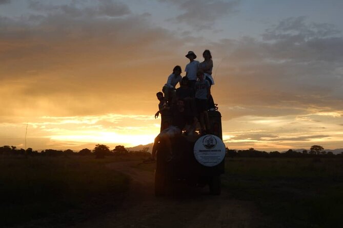 Private Full-Day Trip to Mikumi National Park from Dar es Salaam - What private touring changes for your group