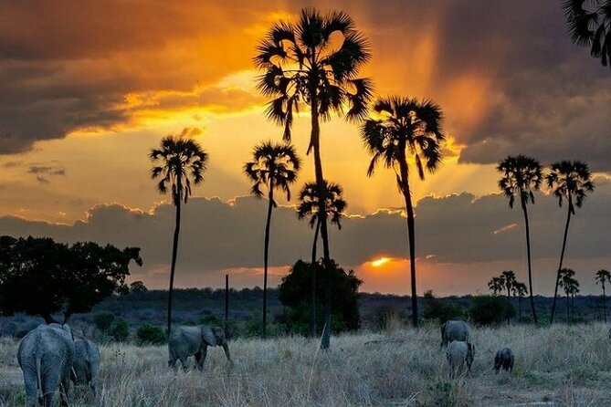 Private Full-Day Trip to Mikumi National Park from Dar es Salaam - Is $550 a fair price for a day trip?