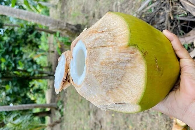Private Full Day Trip to Stone Town, Spice Farms and Jozani Forest - Who will get the most from this tour