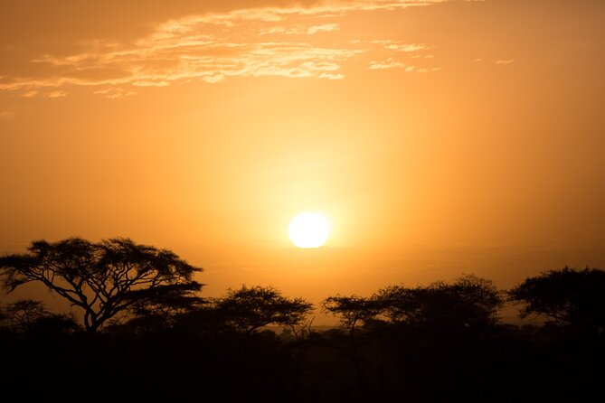 Private Group Serengeti Safari, Crater & Tarangire National Park - Day three: Ngorongoro Crater and the Tarangire question
