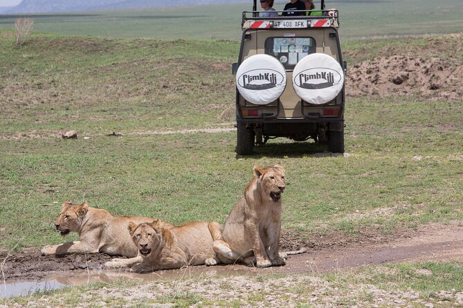 Private Group Serengeti Safari, Crater & Tarangire National Park - Day one: the long reach of the Serengeti