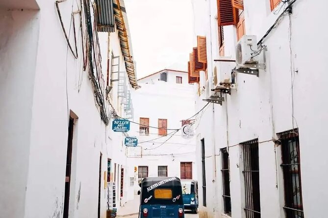 Private Half Day Stone Town Walking Tour - Darajani Market, spices, and local shopping