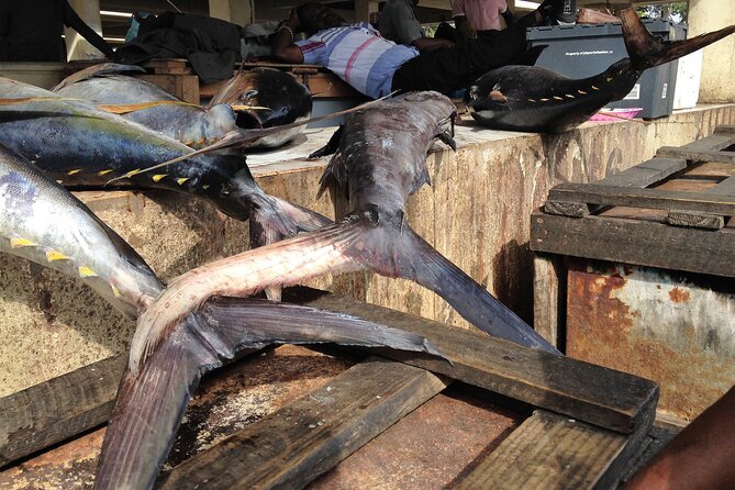 Private Insightful City Tour of Dar es Salaam - Kivukoni Fish Market and the work behind the waterfront