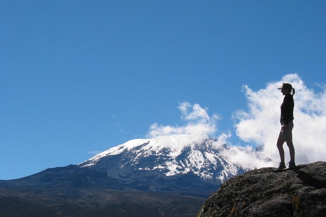 Private Kilimanjaro Climb - Any Route - 8 to 15+ Days - The value of the $5,800 price
