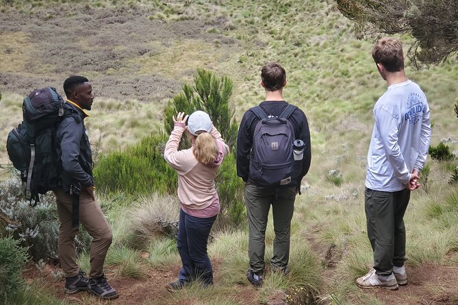 Private Kilimanjaro Day Hike to Marangu Route's Mandara Hut - The short walk to Maundi Crater