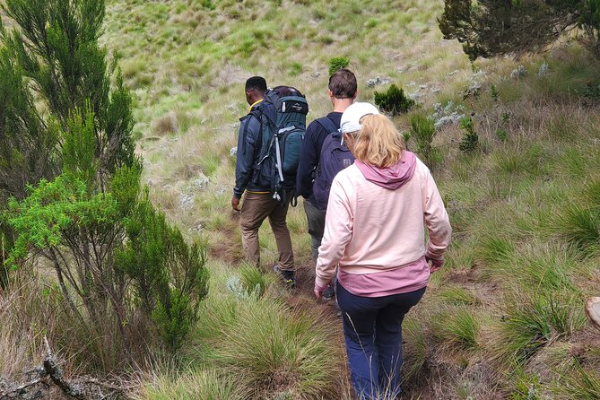 Private Kilimanjaro Day Hike to Marangu Route's Mandara Hut - The descent to Marangu Gate