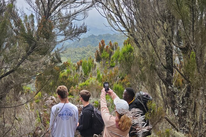 Private Kilimanjaro Day Hike to Marangu Route's Mandara Hut - Registration at Marangu Gate