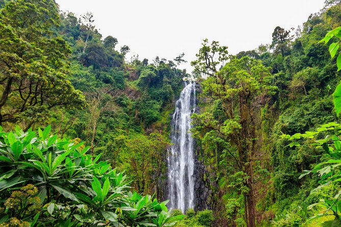Private Materuni and Chemka Hotspring Tour - From Arusha to the green foothills near Moshi