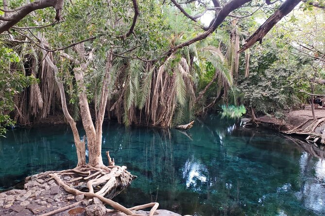 Private Materuni and Chemka Hotspring Tour - What makes the waterfall stop worth your time