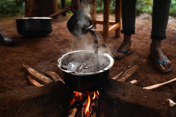 Private Materuni and Chemka Hotspring Tour - Who will enjoy this Materuni and Chemka combination