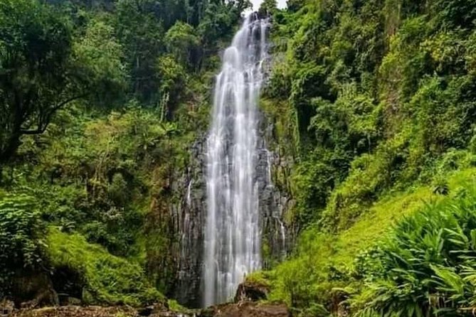 Private Materuni Waterfall & Coffee Tour. - Learning Chagga coffee from bean to cup