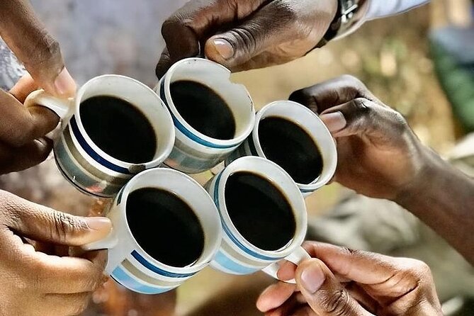 Private Materuni Waterfall & Coffee Tour. - What the $70 price covers