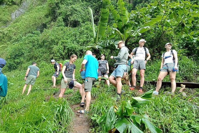 Private Materuni Waterfalls, Coffee Tour and Kikuletwa Hot Spring - Key points to know before you book