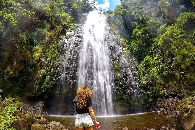 Private Materuni Waterfalls, Coffee Tour and Kikuletwa Hot Spring - One day, two very different Tanzanian settings