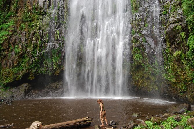 Private Materuni Waterfalls, Coffee Tour and Kikuletwa Hot Spring - Lunch before the road to Kikuletwa