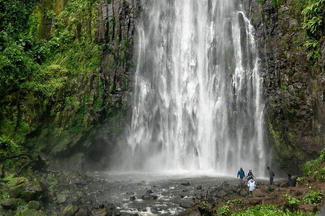Private Materuni Waterfalls, Coffee Tour and Kikuletwa Hot Spring - The changing road to Kikuletwa Hot Springs