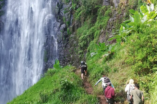 Private Materuni Waterfalls Hiking and Coffee Tour - Who should book this Materuni outing