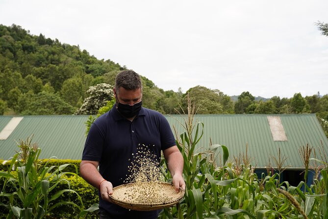 Private Meru Coffee Tour in Nkoaranga - The final reward is a cup you helped make