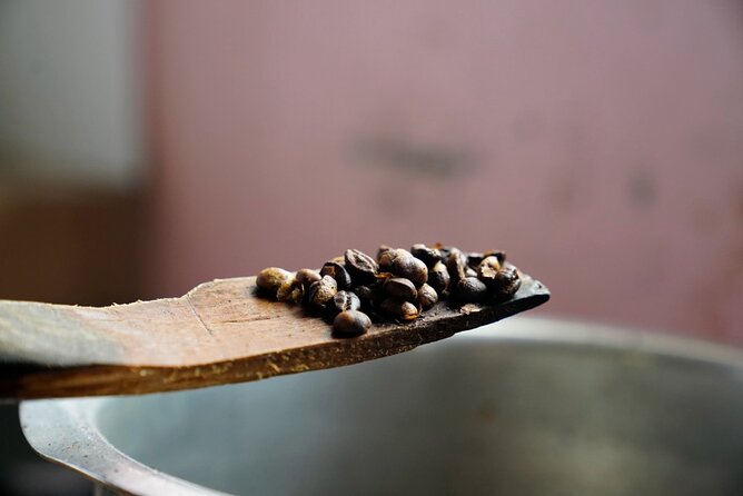Private Meru Coffee Tour in Nkoaranga - The Small Things links coffee with community work