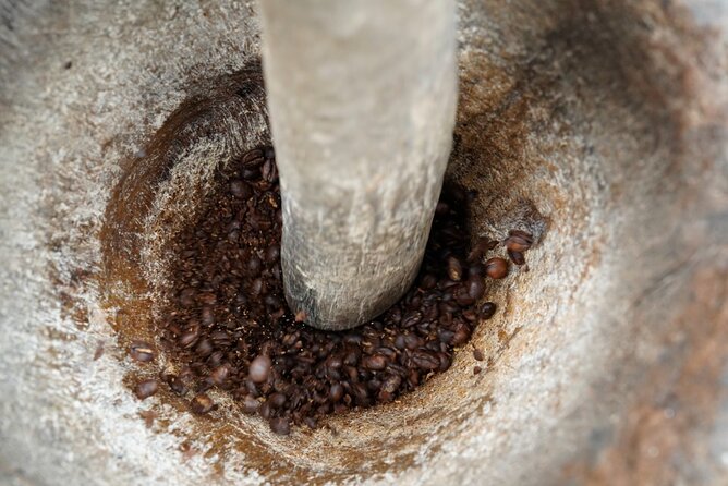 Private Meru Coffee Tour in Nkoaranga - Why $35 can be good value