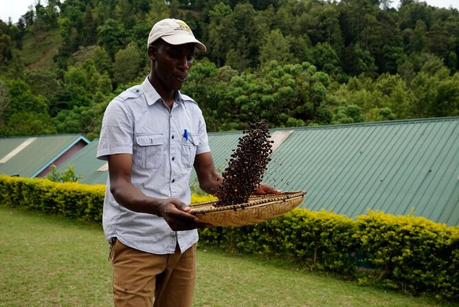 Private Meru Coffee Tour in Nkoaranga - Timing, access, and what to bring