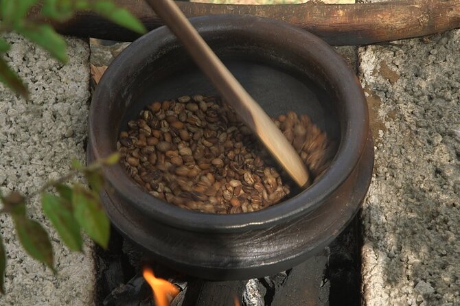 Private Meru Coffee Tour in Nkoaranga - Who will enjoy this private Nkoaranga visit