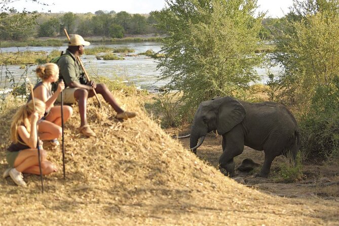Private Mikumi Adventure - Why Mikumi works for a short safari from Dar es Salaam