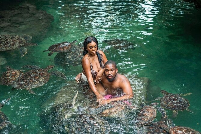 Private Mnemba Island and Turtle Aquarium Tour - Baraka Aquarium brings you close to sea turtles